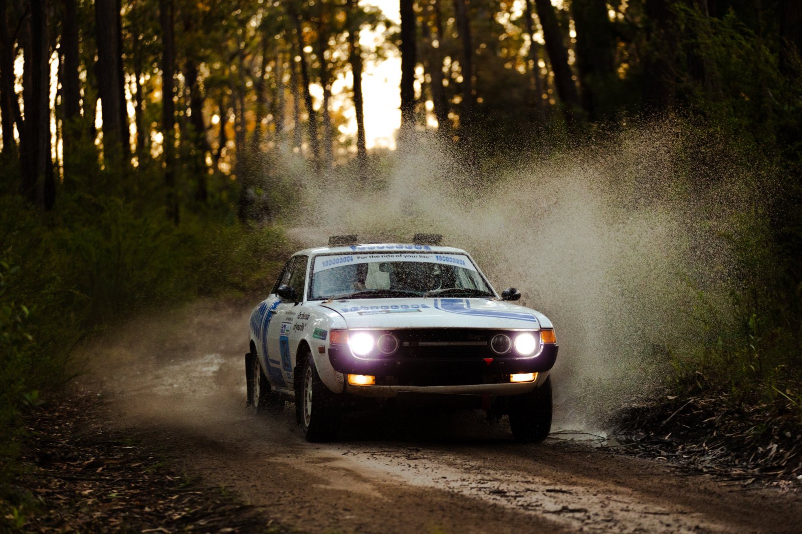 The Lovells rally car at speed on a forest stage at dusk